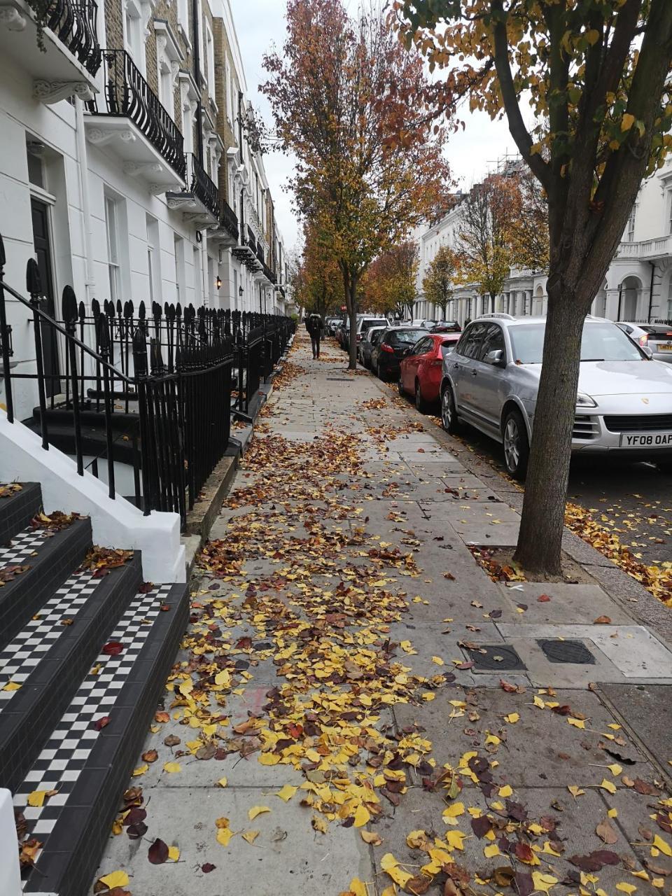 Victoria Style Flat Near Victoria Station Διαμέρισμα Λονδίνο Εξωτερικό φωτογραφία